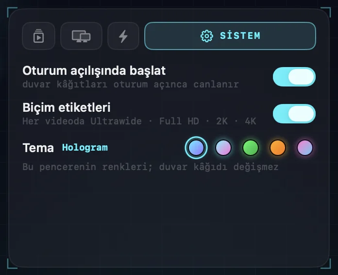 Sistem ayarları: oturum açılışında başlat, biçim etiketleri ve beş tema örneği.